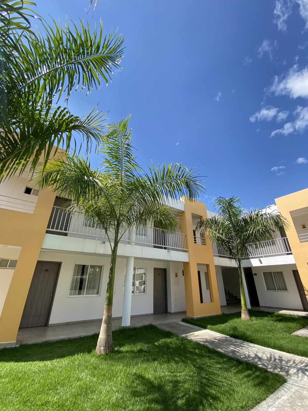 Habitaciones entre palmas y jardín