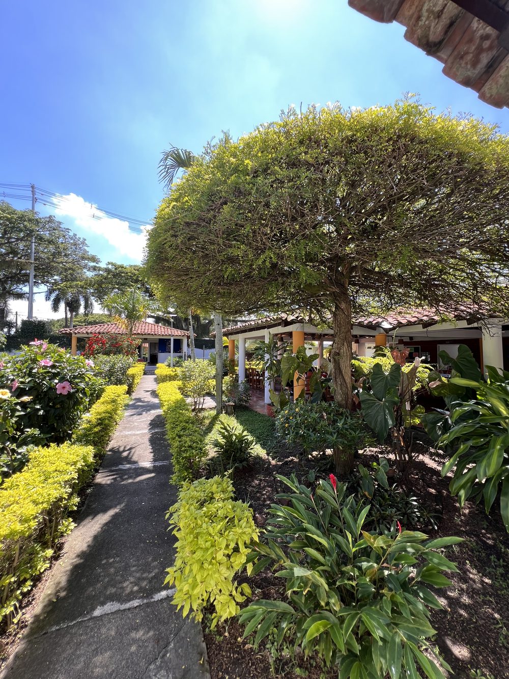 Sendero entre los jardines